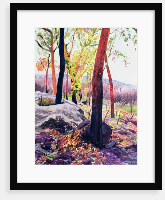 Bush Fire Survivors, Sydney, 1994 by Robert Tyndall