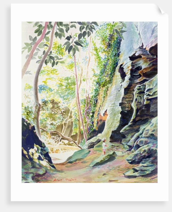 Rocks near Nowra, N.S.W. Australia by Robert Tyndall