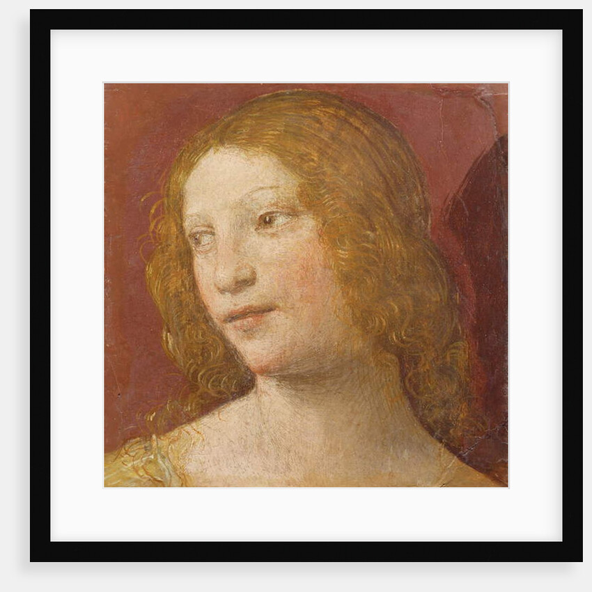 Head of a Young Woman by Bernardino Luini