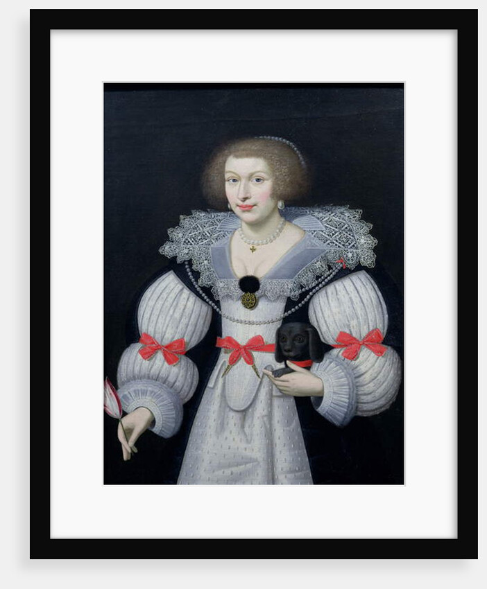 Portrait of a lady holding a dog and a tulip, c.1620 by English School