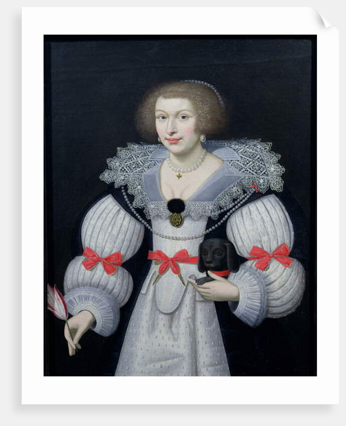 Portrait of a lady holding a dog and a tulip, c.1620 by English School