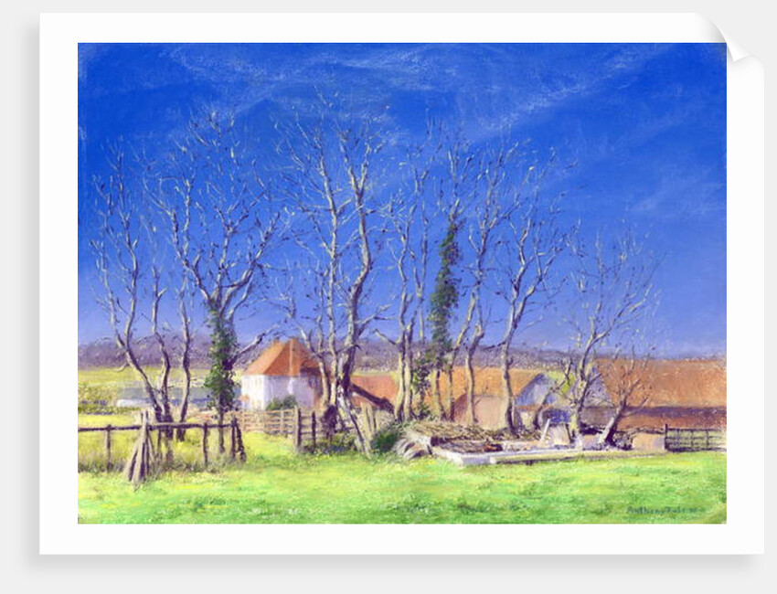 Brockwell Farm, 2005 by Anthony Rule