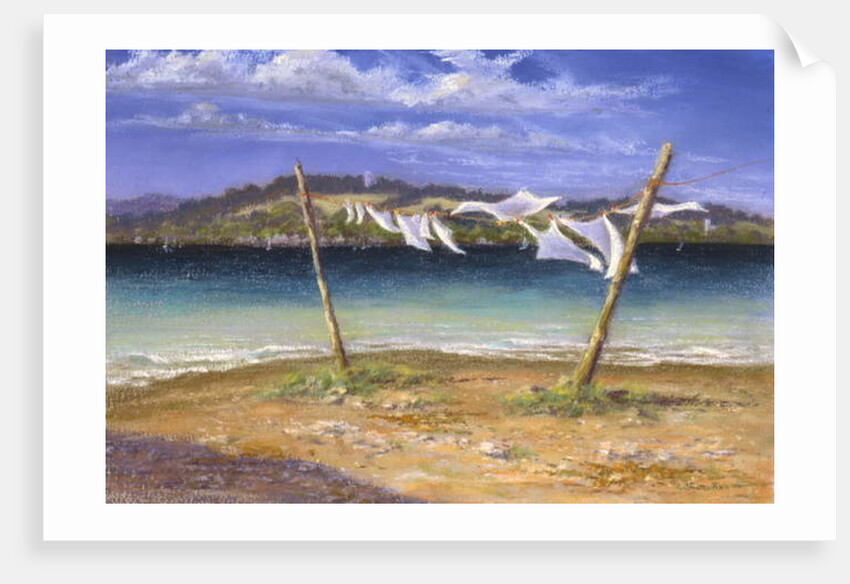 Drying the Whites, 2004 by Anthony Rule