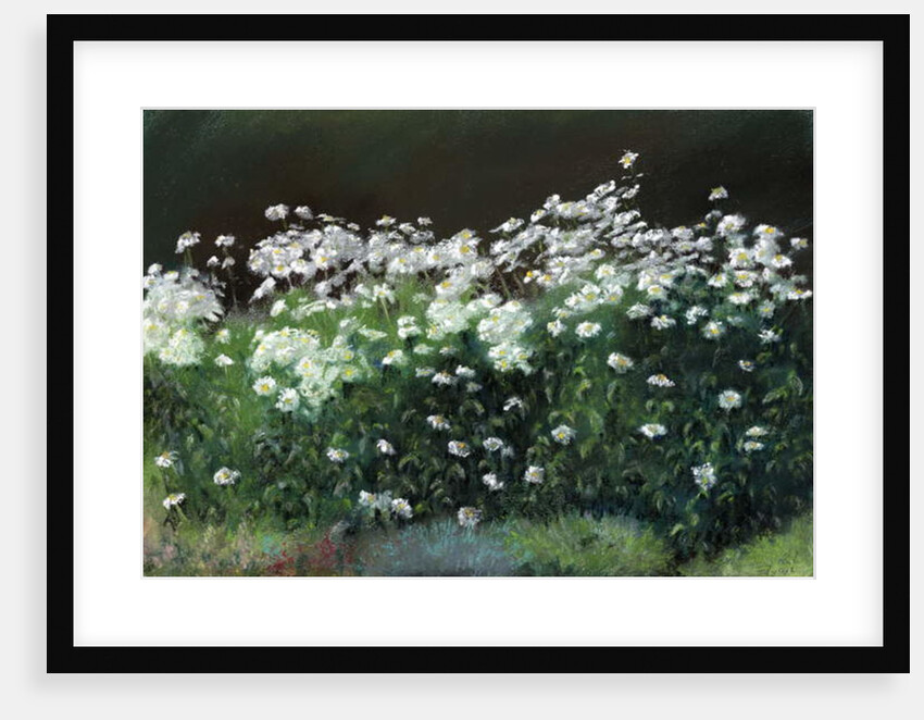 Shasta Daisies, 1992 by Anthony Rule