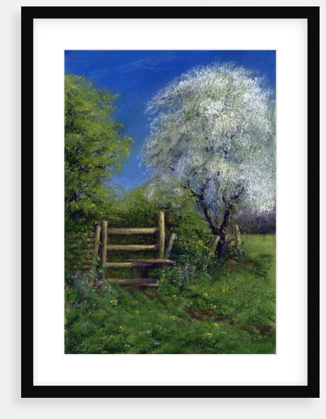 Springtime by the Stile, 2013 by Anthony Rule