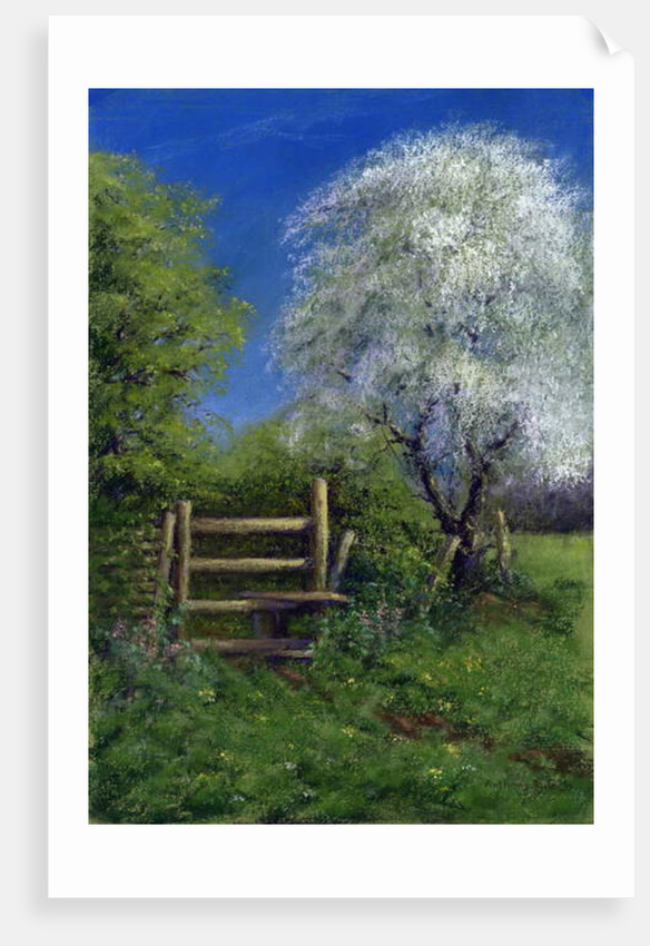 Springtime by the Stile, 2013 by Anthony Rule