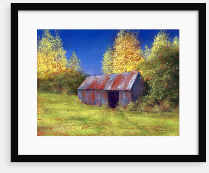 The Old Tin Shack, 2010 by Anthony Rule