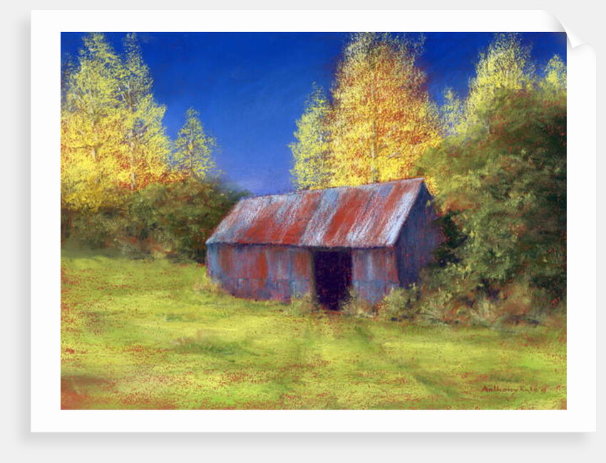 The Old Tin Shack, 2010 by Anthony Rule