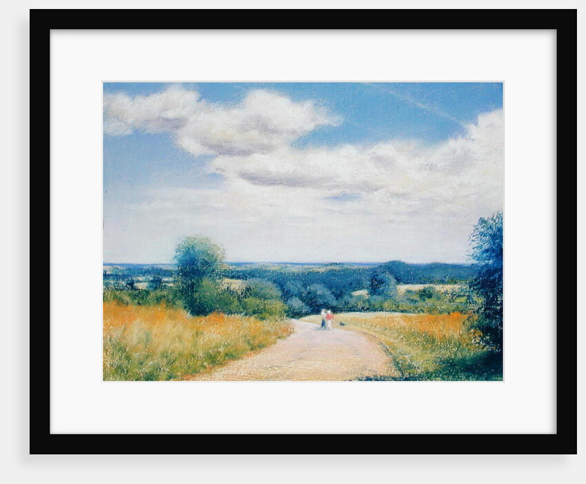 Sunday Stroll, 2003 by Anthony Rule