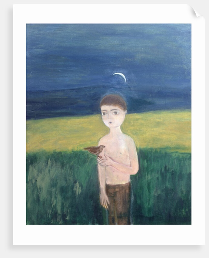 Boy with Bird, 2002 by Roya Salari