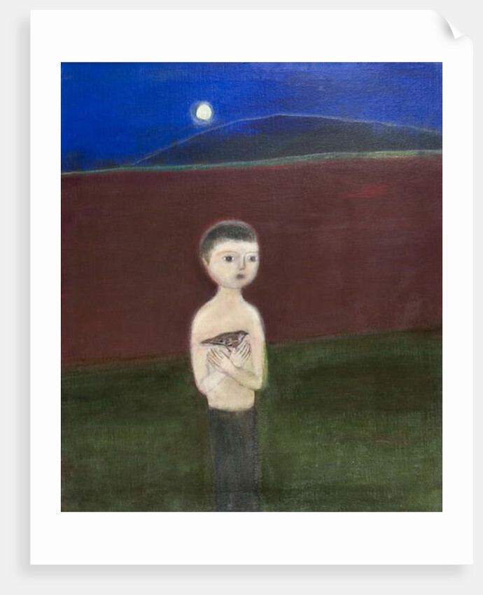 Boy and Sparrow, 2011 by Roya Salari