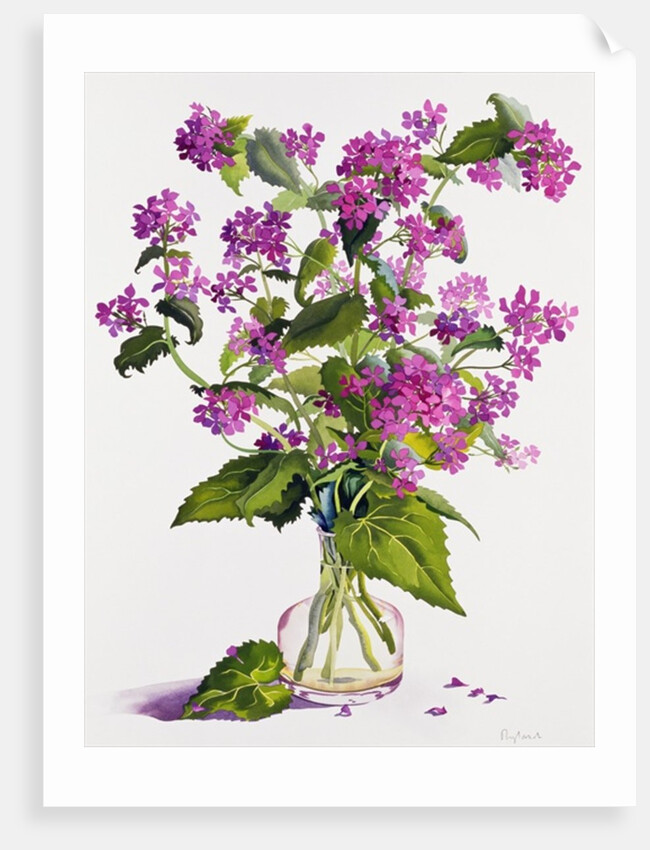 Honesty by Christopher Ryland