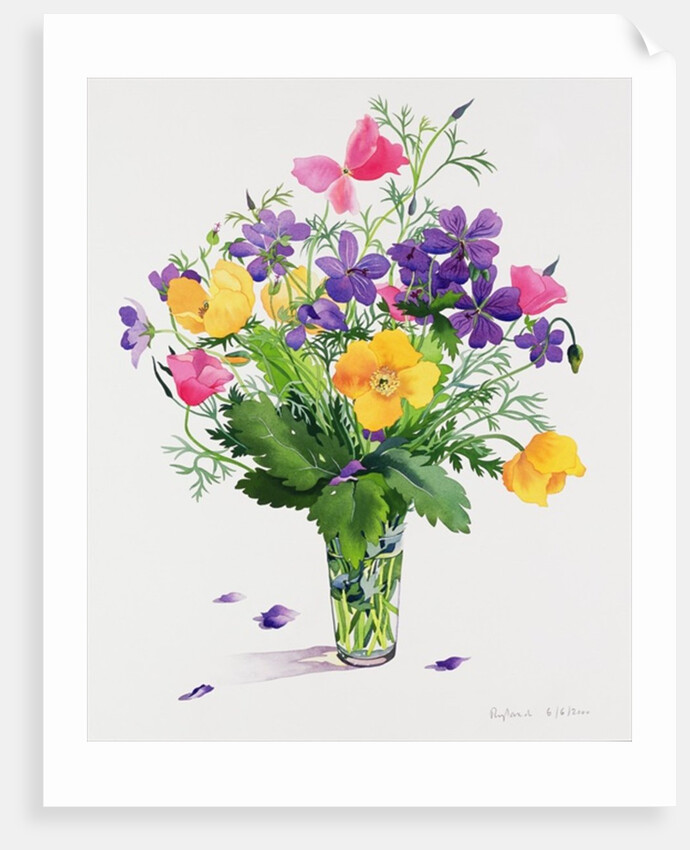 Poppies and Geraniums by Christopher Ryland