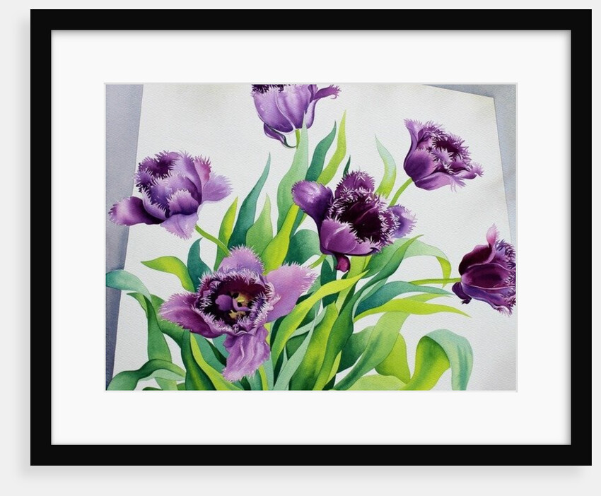 Purple Fringe Tulips, 2015 by Christopher Ryland