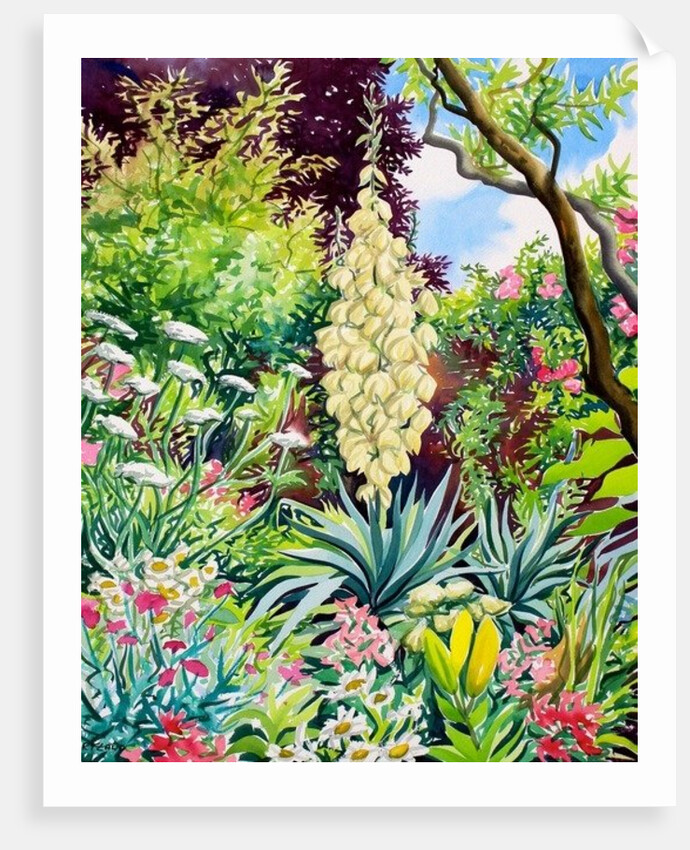 Garden with Flowering Yucca, 2014 by Christopher Ryland