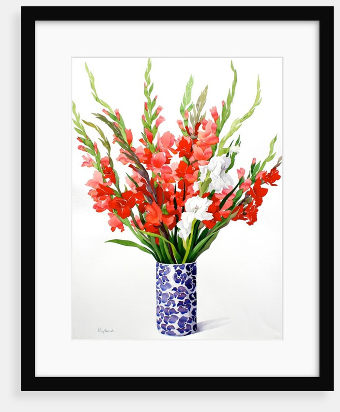 Red and White Gladioli by Christopher Ryland