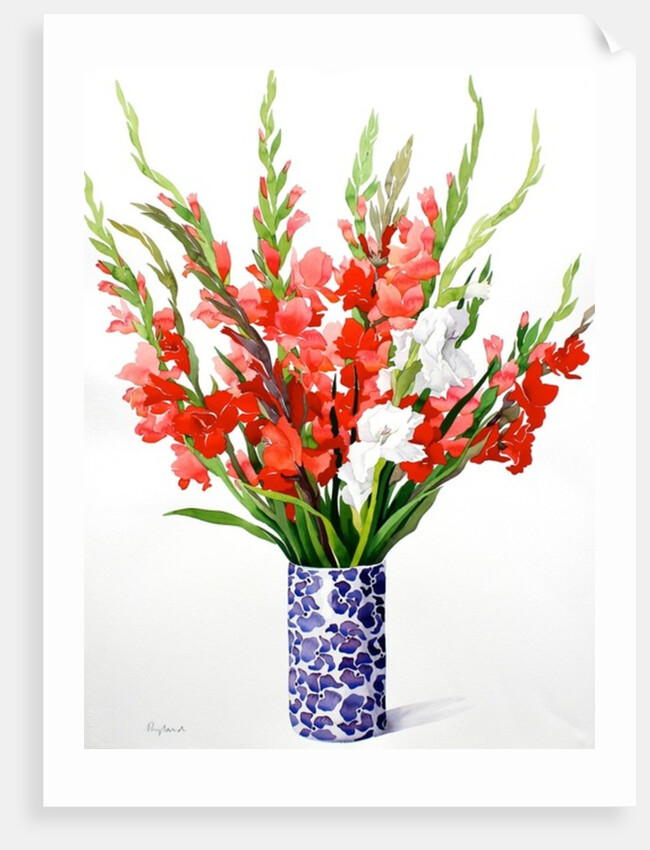 Red and White Gladioli by Christopher Ryland