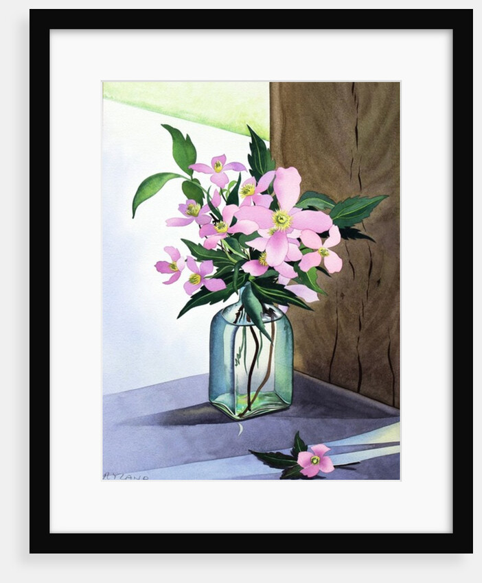Still Life Pink Clematis, 2015 by Christopher Ryland