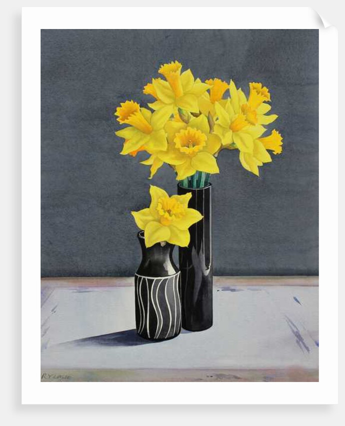 Still Life Daffodils, 2015 by Christopher Ryland