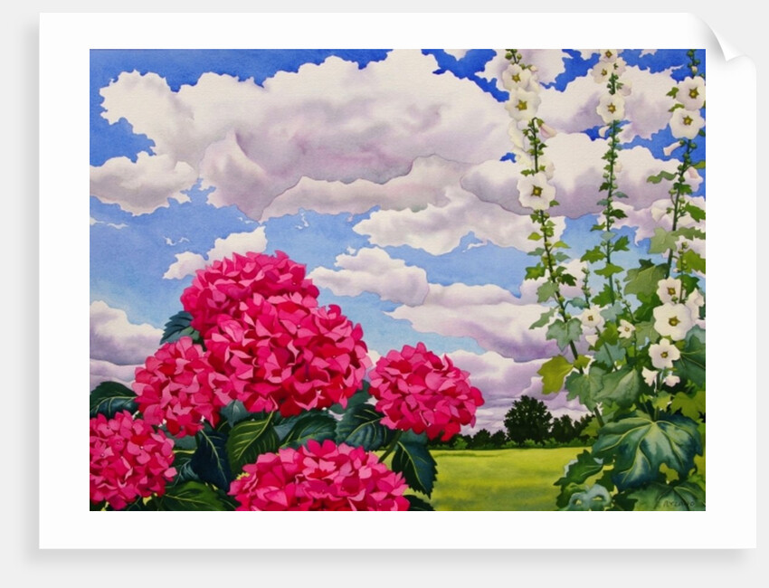 Flowers at the edge of a meadow, 2008 by Christopher Ryland