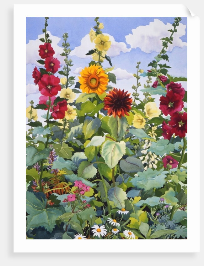 Hollyhocks and Sunflowers, 2003 by Christopher Ryland