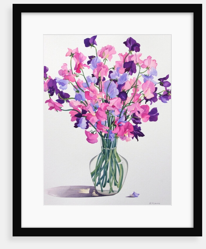 Sweetpeas, 2007 by Christopher Ryland