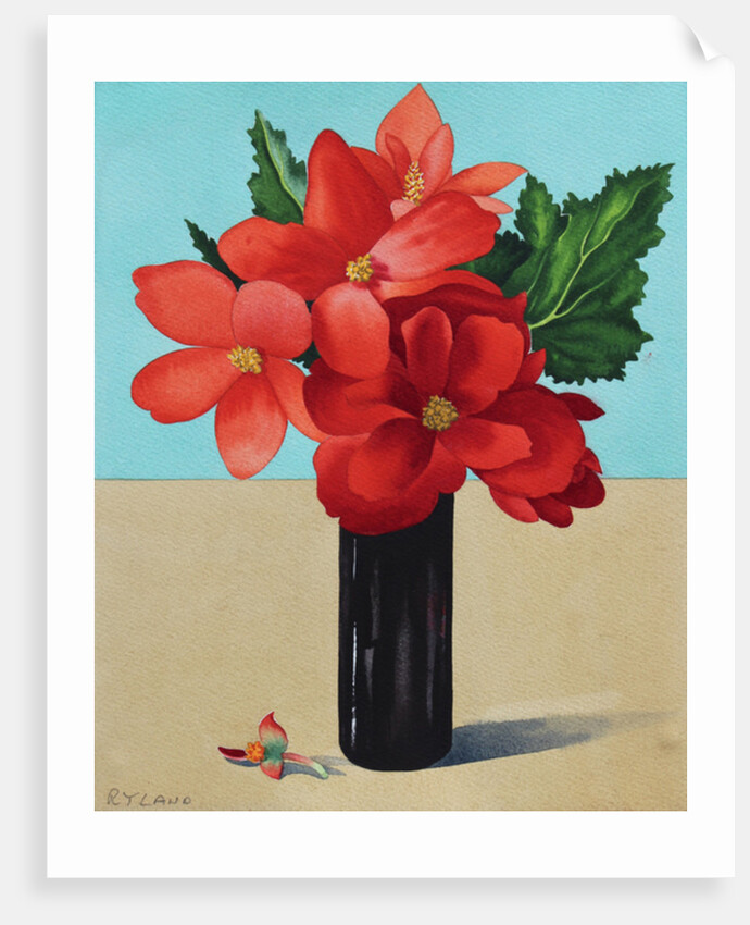 Red Begonias by Christopher Ryland