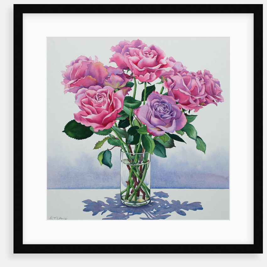 Avalanche Roses, 2017 by Christopher Ryland