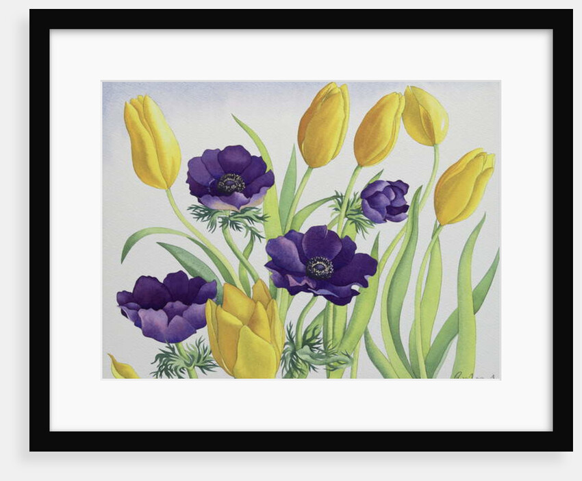Tulips and Anemones, 2018 by Christopher Ryland