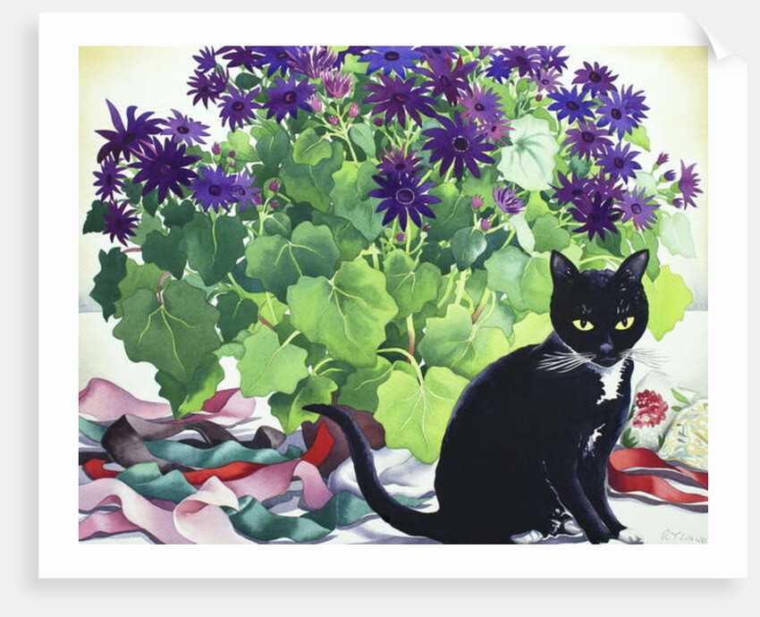 Senetti Plant and Cat, 2018 by Christopher Ryland