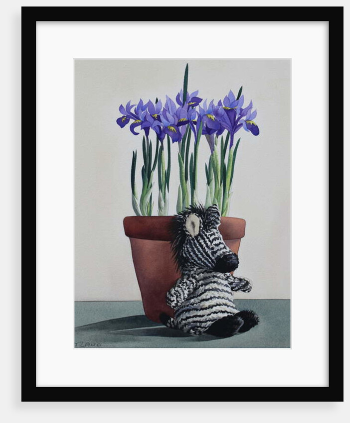 Winter Irises and Zebra, 2018 by Christopher Ryland