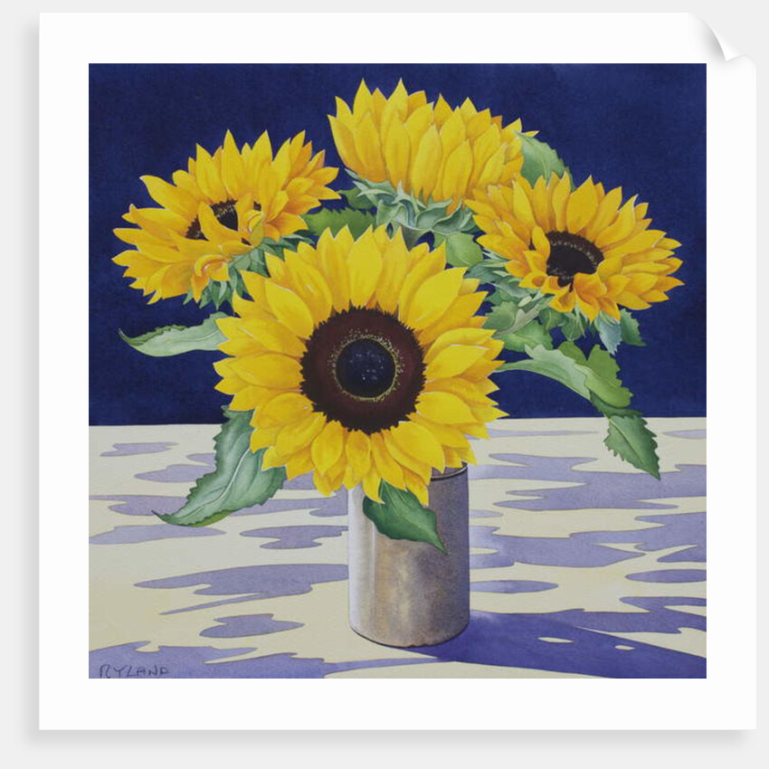 Sunflower Still Life, 2018 by Christopher Ryland
