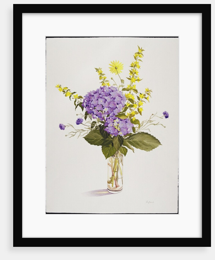 Blue Hydrangea with Yellow Loosestrife by Christopher Ryland