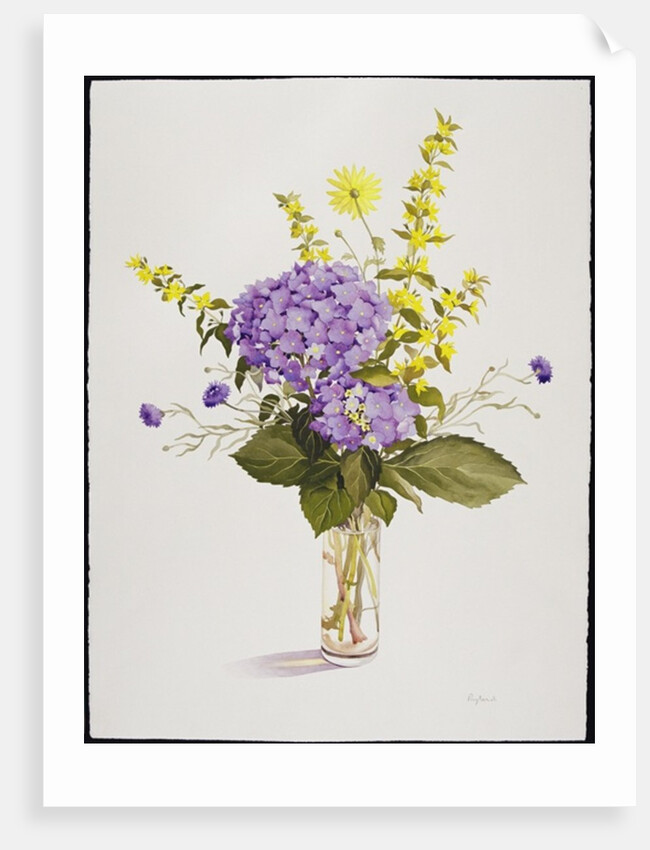 Blue Hydrangea with Yellow Loosestrife by Christopher Ryland