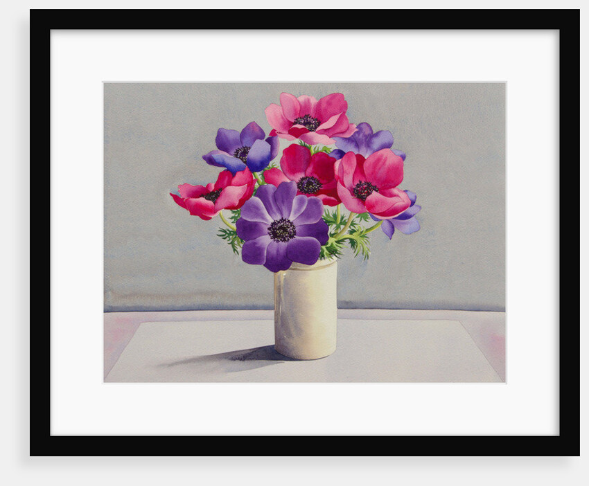 Anemones by Christopher Ryland