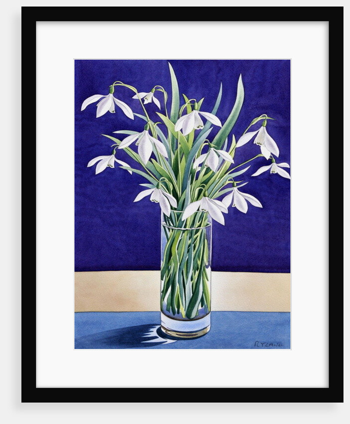 Snowdrops by Christopher Ryland