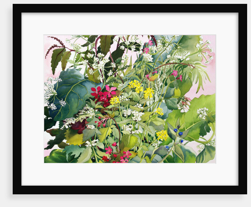 Wild Flowers with Comfrey and Campion by Christopher Ryland