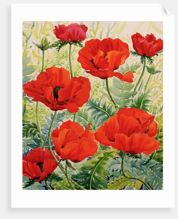 Large Red Poppies by Christopher Ryland