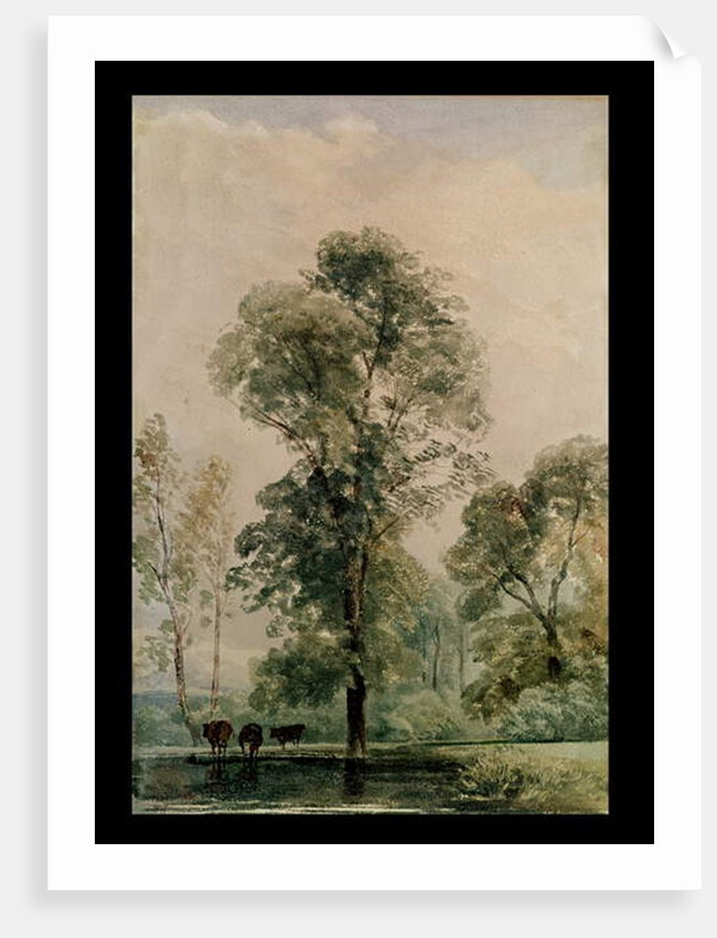 Watering Place by Peter de Wint