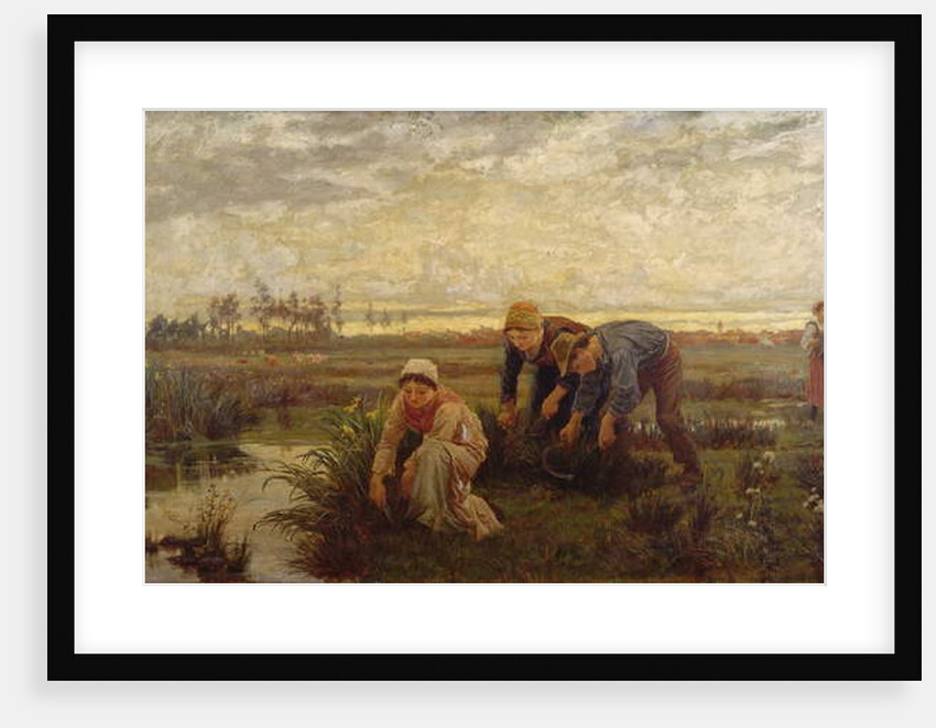 Rush Cutters by Alice Havers