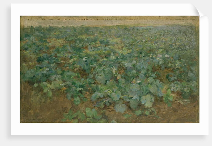The Turnip Field by William Edward Stott