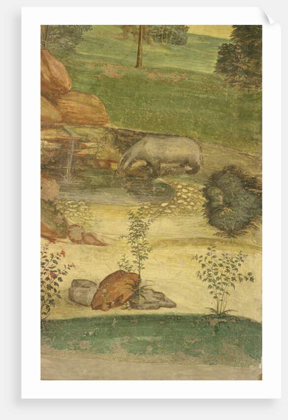 The Life of St. Benedict by L. & Sodoma G. Signorelli