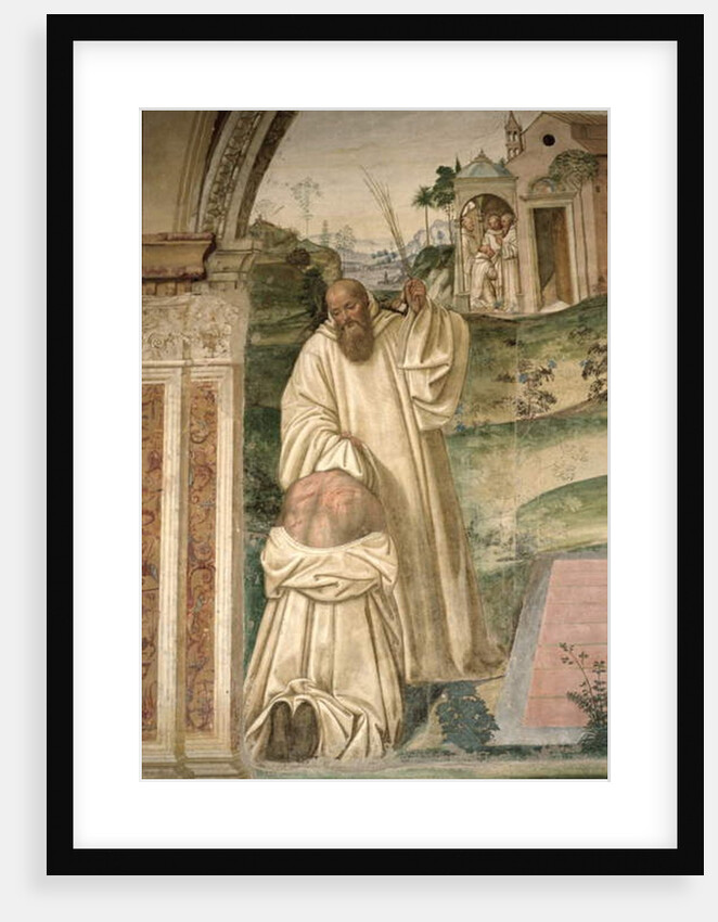 The Life of St. Benedict by L. & Sodoma G. (1477-1549) Signorelli