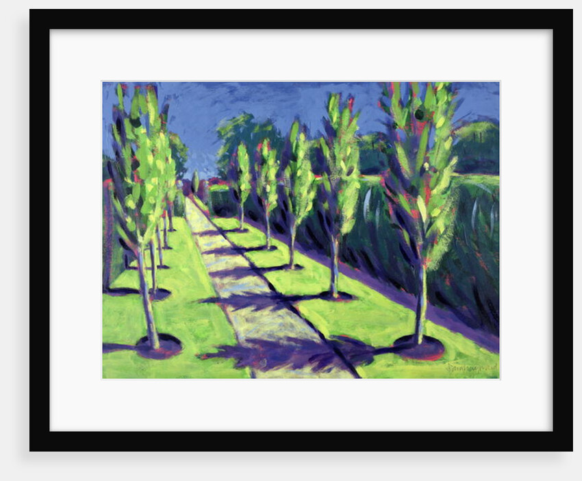 Avenue by Sara Hayward