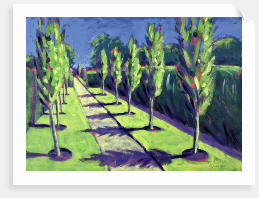 Avenue by Sara Hayward