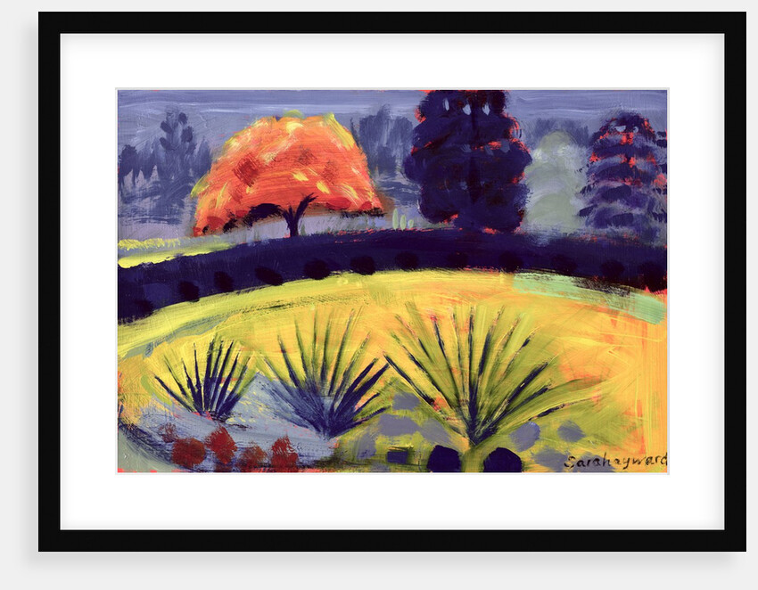 Botanical Gardens, Autumn by Sara Hayward