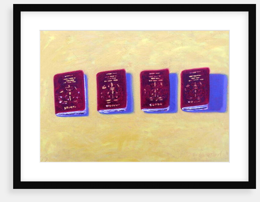 Four Passports by Sara Hayward