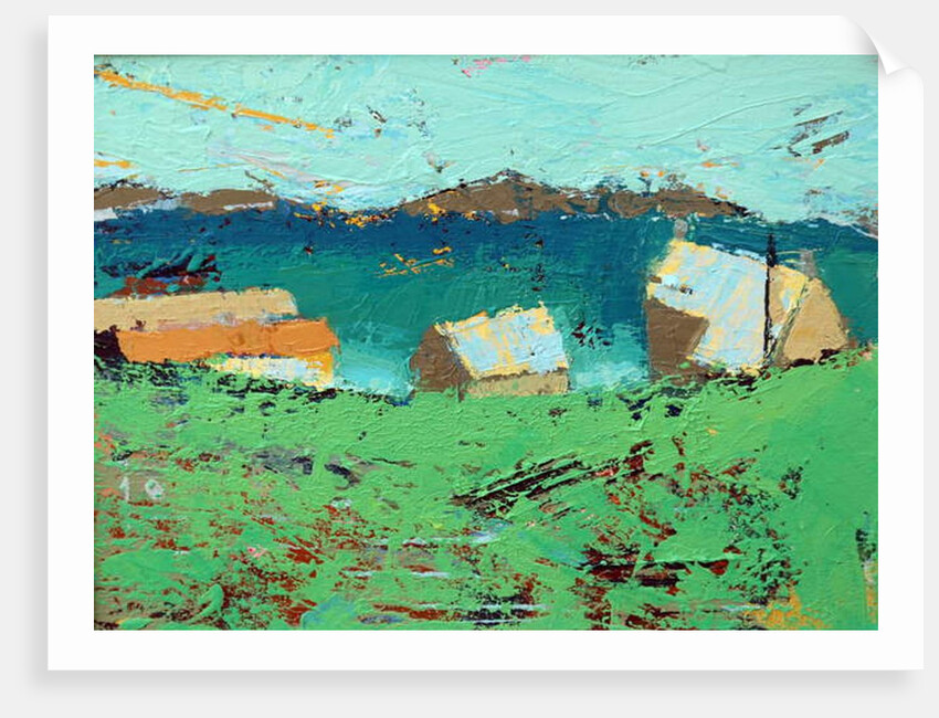 Farmstead Iona, 2019 by Sara Hayward