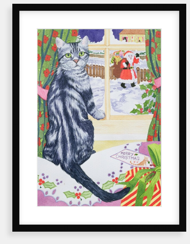 A Christmas visitor for Toby by Suzanne Bailey