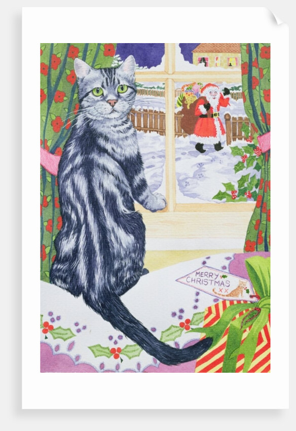 A Christmas visitor for Toby by Suzanne Bailey